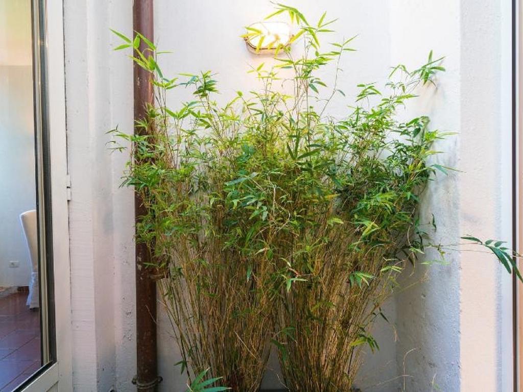 Garibaldi Roof Garden Daire Roma Dış mekan fotoğraf
